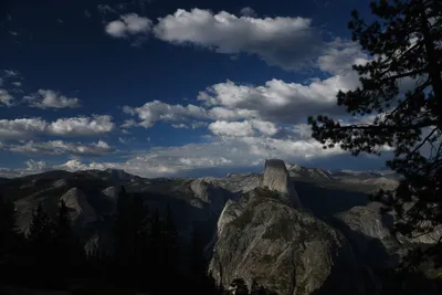 DSC_4186 (Large).JPG